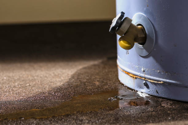 Best Carpet water damage restoration  in Westlake, OH