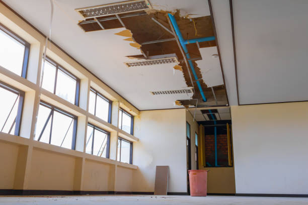Best Sewage cleanup and water damage restoration  in Westlake, OH