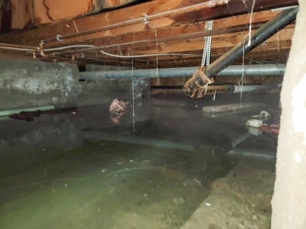 Carpet water damage restoration in Westlake, OH