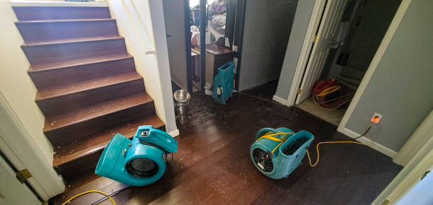 Best Water damage restoration company  in Westlake, OH