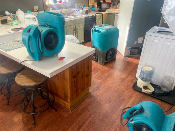 Best Local water damage restoration  in Westlake, OH