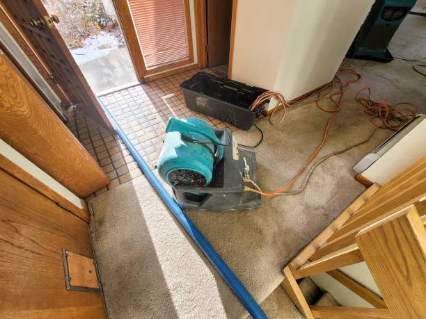 Best 24-hour water damage restoration  in Westlake, OH