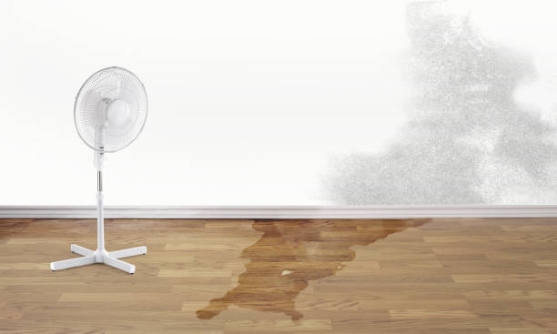 Water damage restoration mold remediation in Westlake, OH