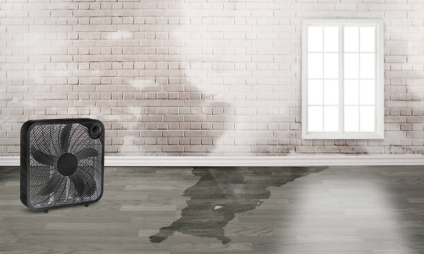 Best Water damage restoration near me  in Westlake, OH
