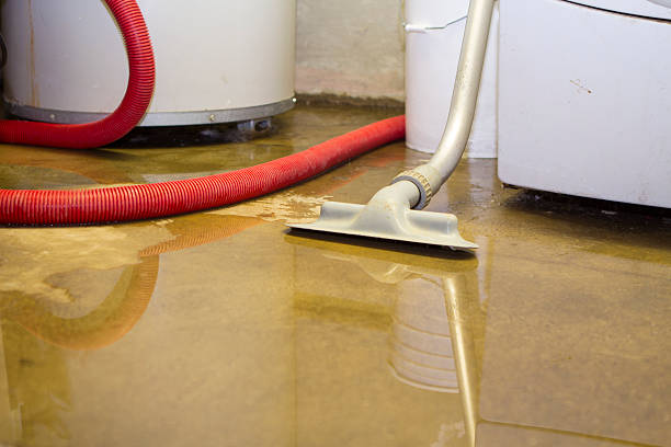 Best Water damage restoration cost  in Westlake, OH