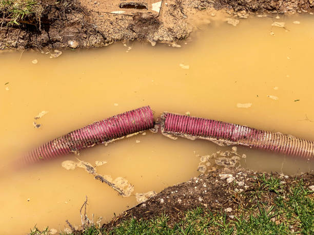 Water damage restoration process in Westlake, OH