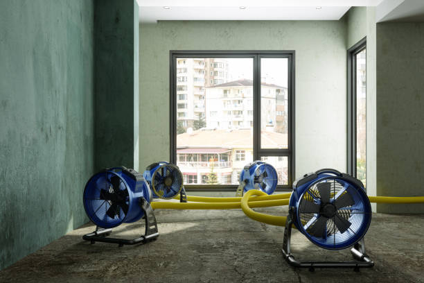 Best Professional water damage repair  in Westlake, OH